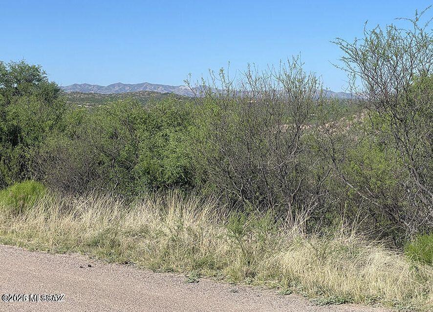 782 Via Tecoripa, Unit 12 Rio Rico, AZ 85648 - Photo 2 of 7 along the road NW