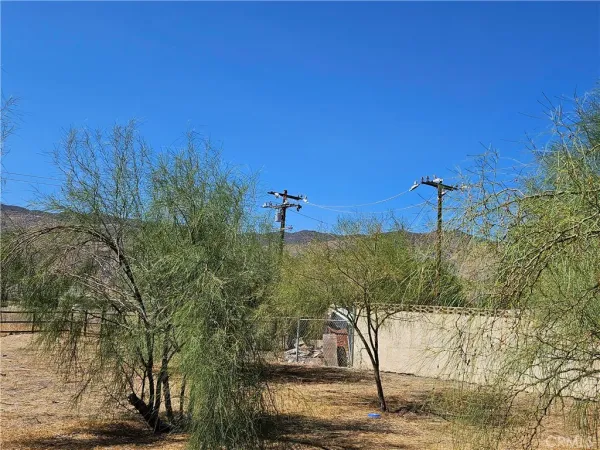 a view of a yard