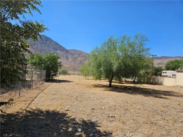 a view of a yard with a tree