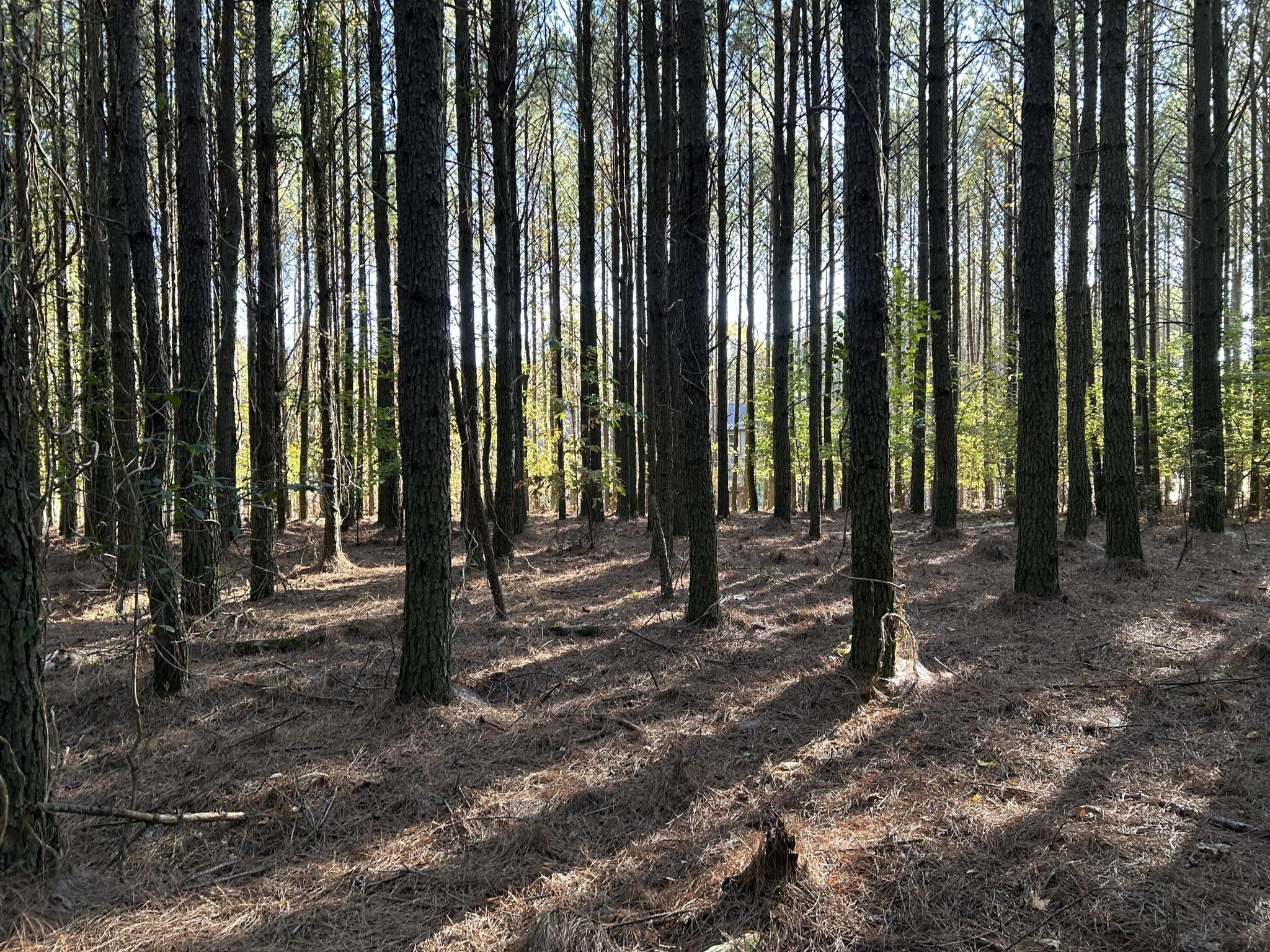 2035 Crockett Point Jasper, TN 37347 - Photo 12 of 31 a view of outdoor space with yard