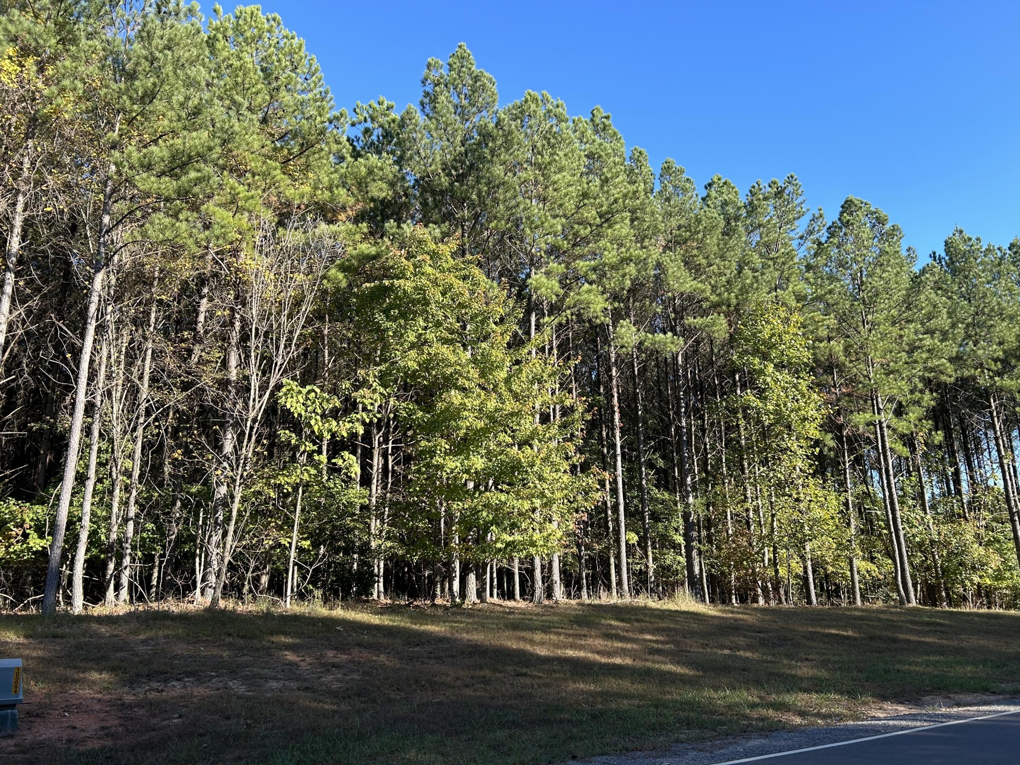 2035 Crockett Point Jasper, TN 37347 - Photo 3 of 31 a view of a yard