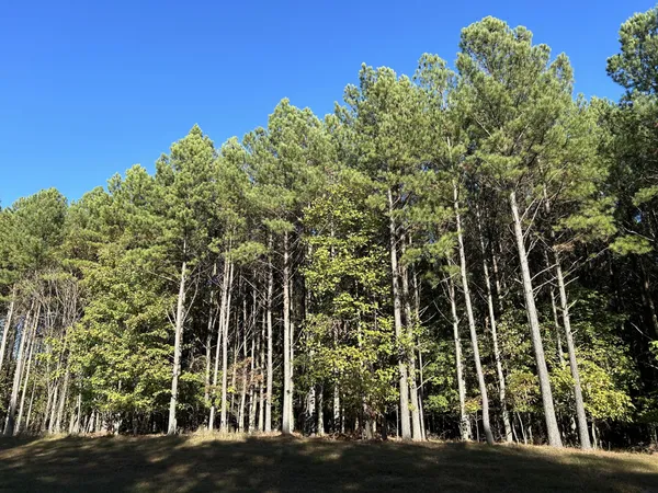 a view of a building