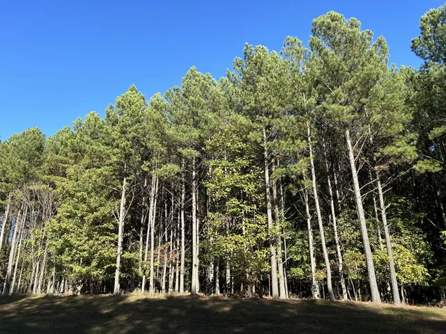 a view of a building