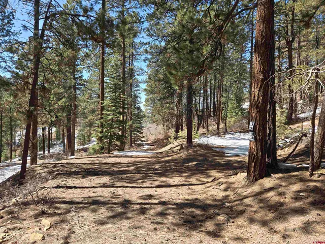 a view of a yard with a tree