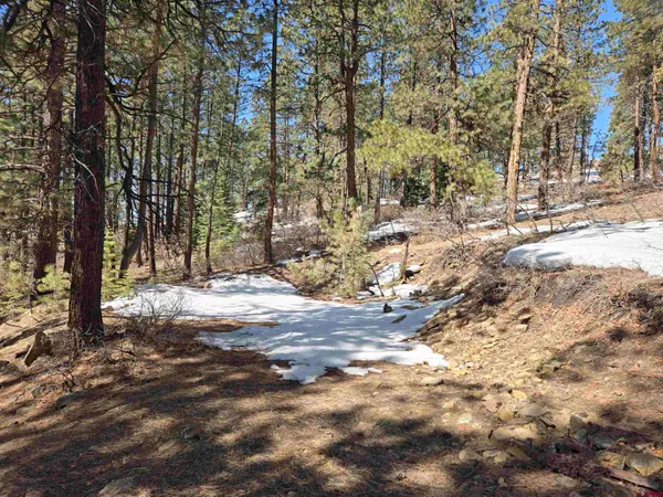 a view of open space with trees