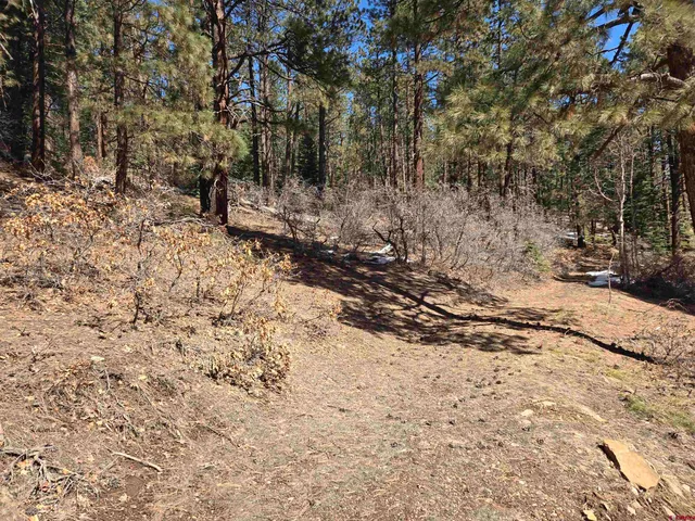 a view of a yard with a tree