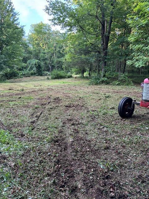 Cronk Road Wallkill, NY 12589 - Photo 11 of 11 View of yard