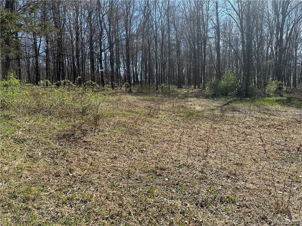 Cronk Road Wallkill, NY 12589 - Photo 4 of 11 view of just some of the property