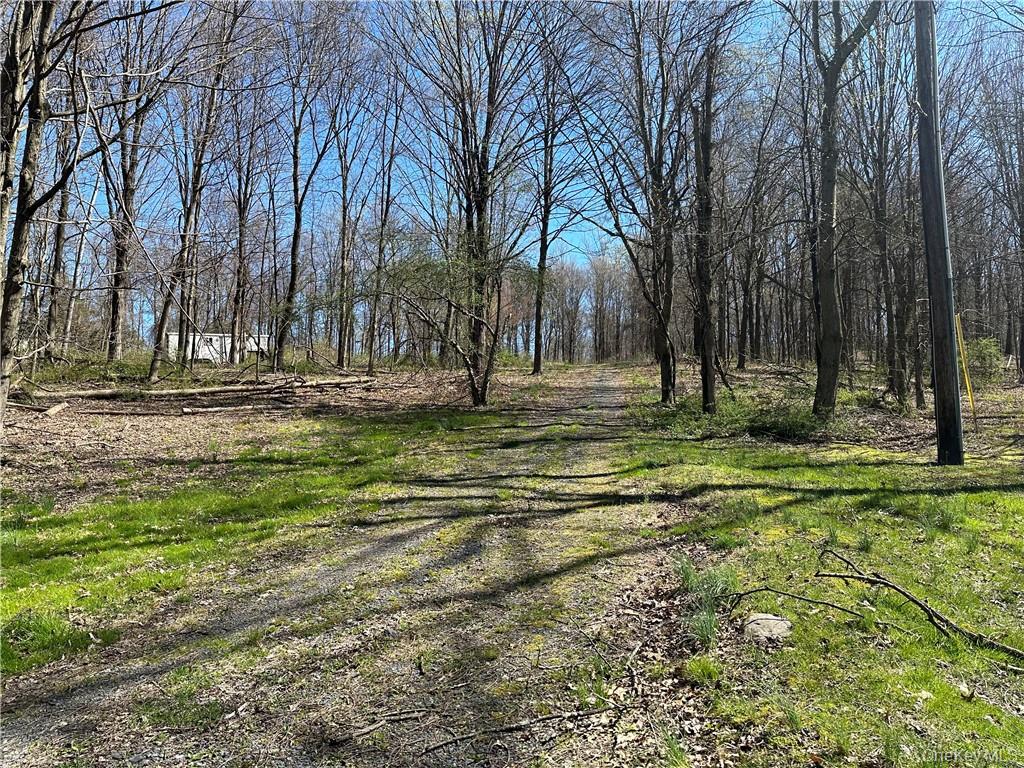 Cronk Road Wallkill, NY 12589 - Photo 5 of 11 Recently cleared