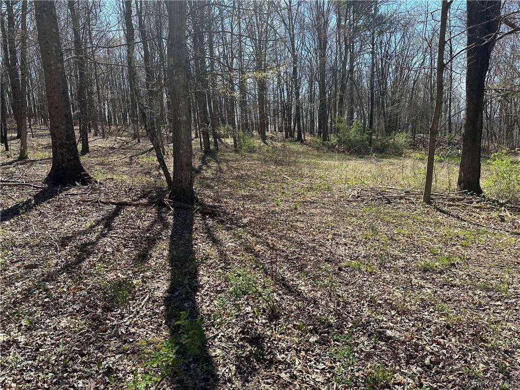 Cronk Road Wallkill, NY 12589 - Photo 6 of 11 Another view of the property. To get the best view have your agent schedule a viewing.