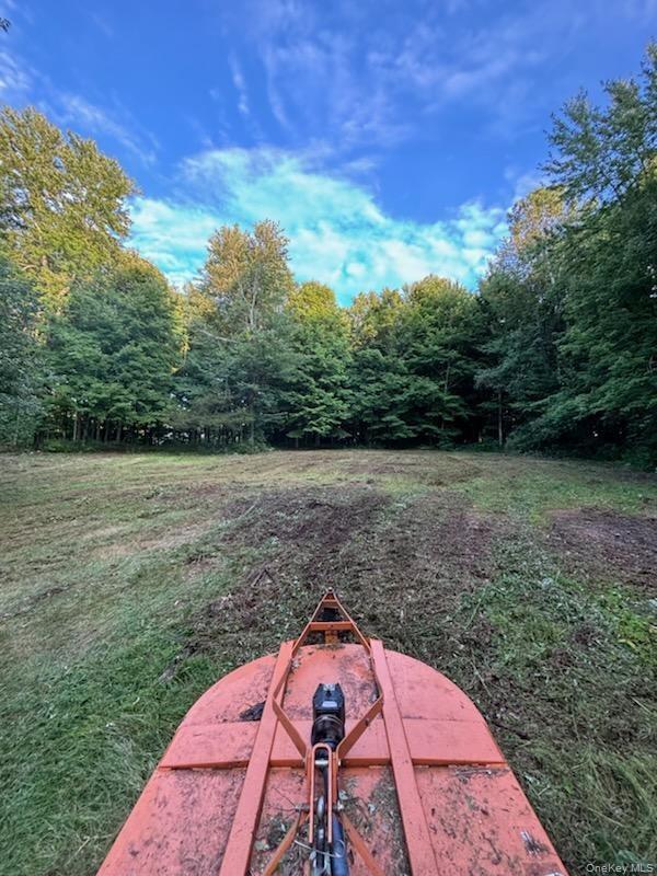 Cronk Road Wallkill, NY 12589 - Photo 7 of 11 View of yard