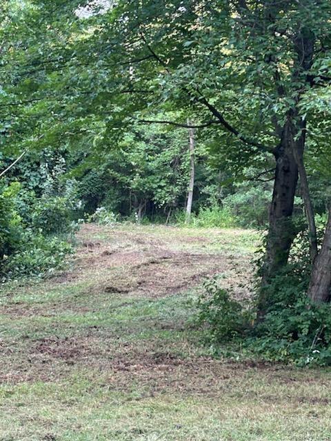 Cronk Road Wallkill, NY 12589 - Photo 8 of 11 View of local wilderness