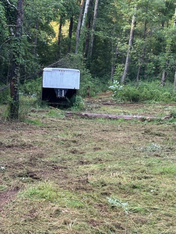 Cronk Road Wallkill, NY 12589 - Photo 9 of 11 View of yard