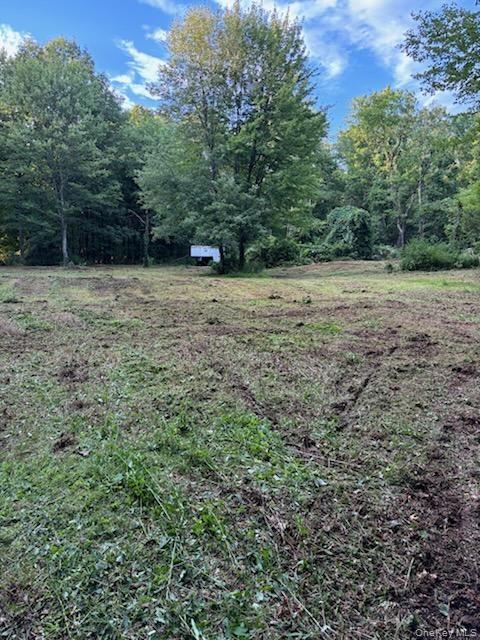 Cronk Road Wallkill, NY 12589 - Photo 10 of 11 View of yard