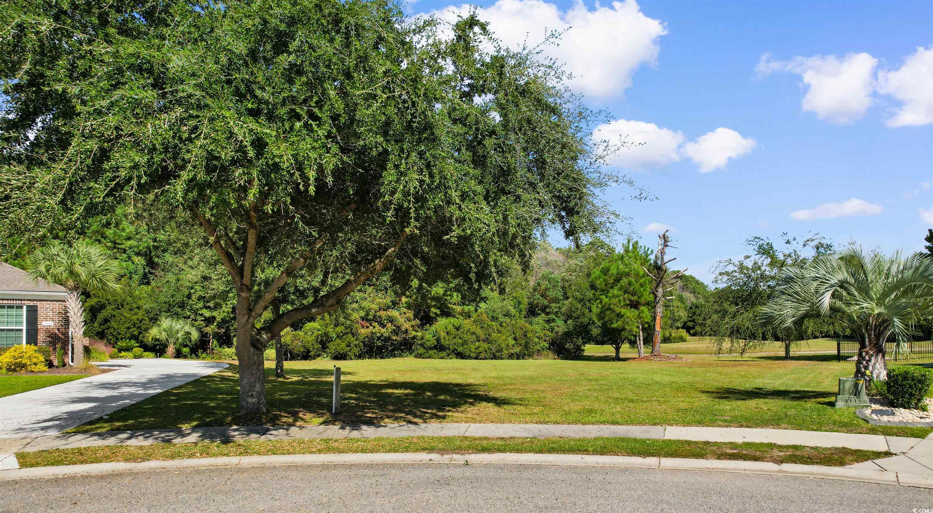 1005 Whooping Crane Drive Conway, SC 29526 - Photo 2 of 35 View of community with a yard