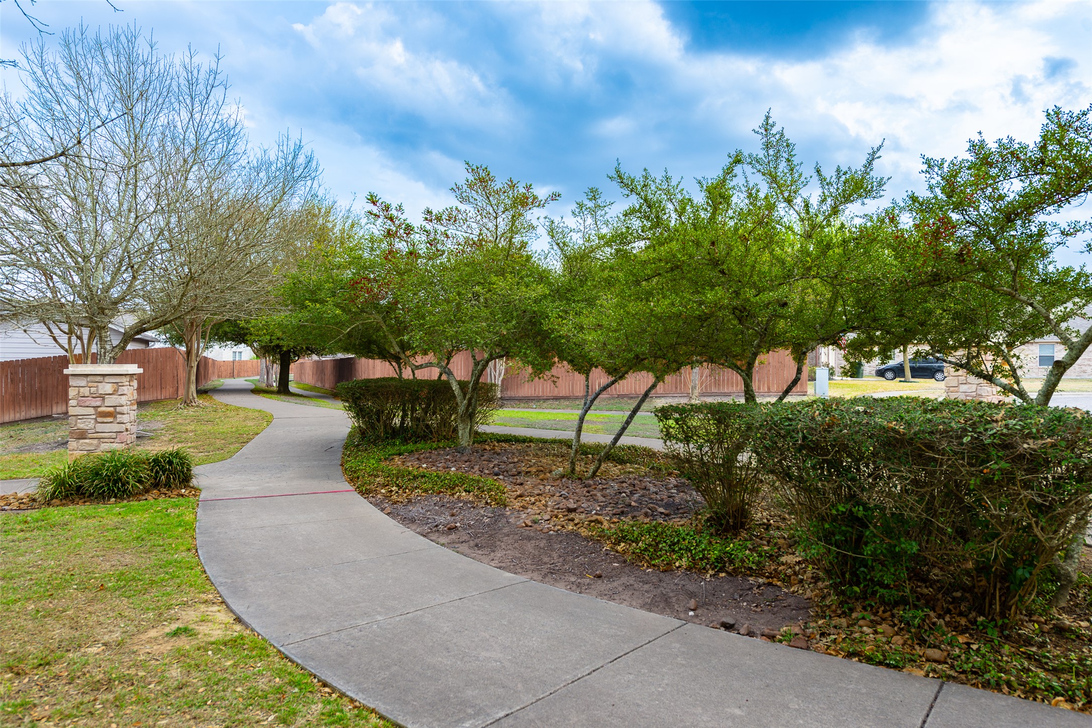 184 Tulip Cove Kyle, TX 78640 - Photo 36 of 40 a view of a park with large trees