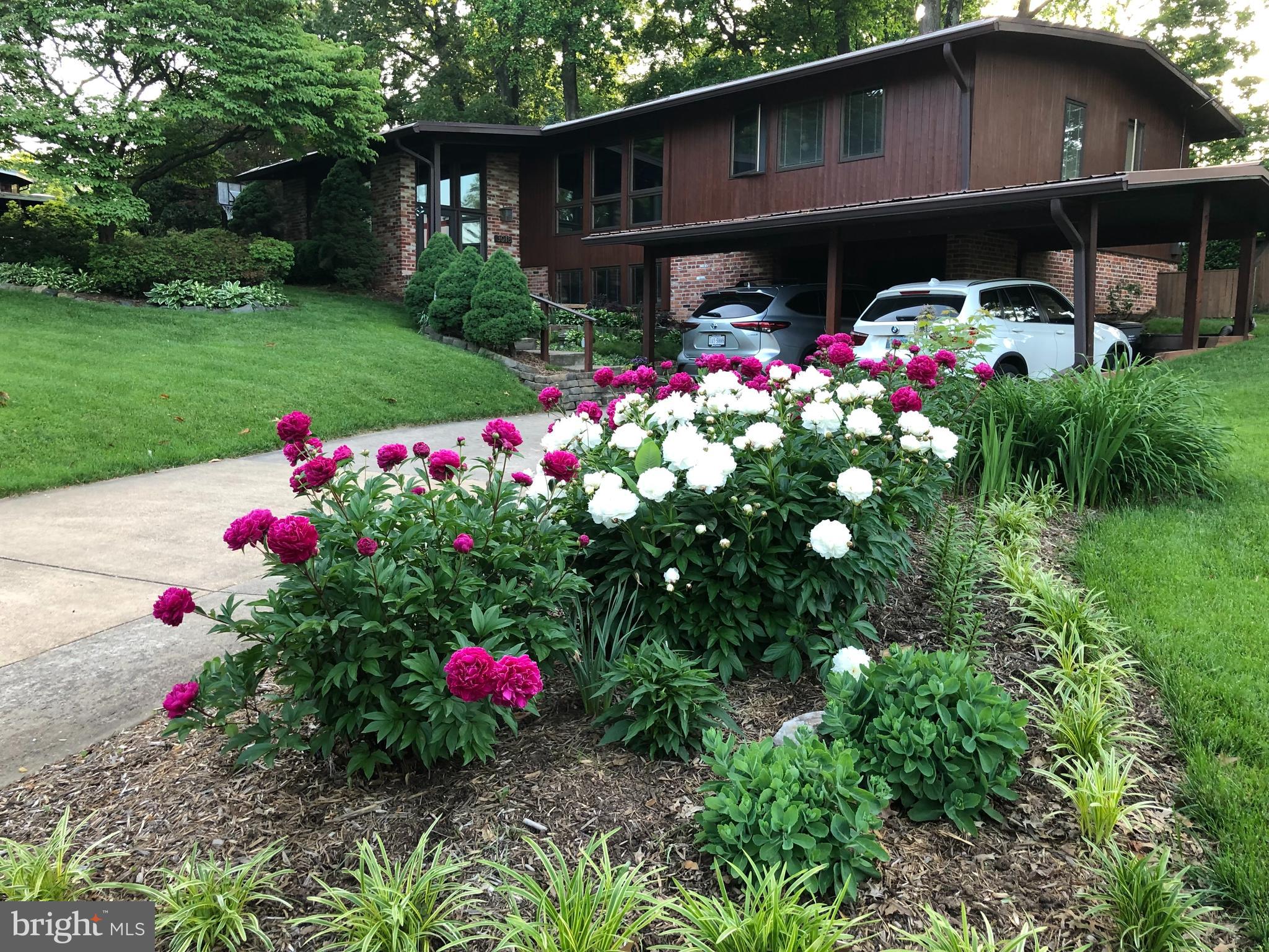 3018 Pine Spring Road Falls Church, VA 22042 - Photo 2 of 52 a front view of a house with plants