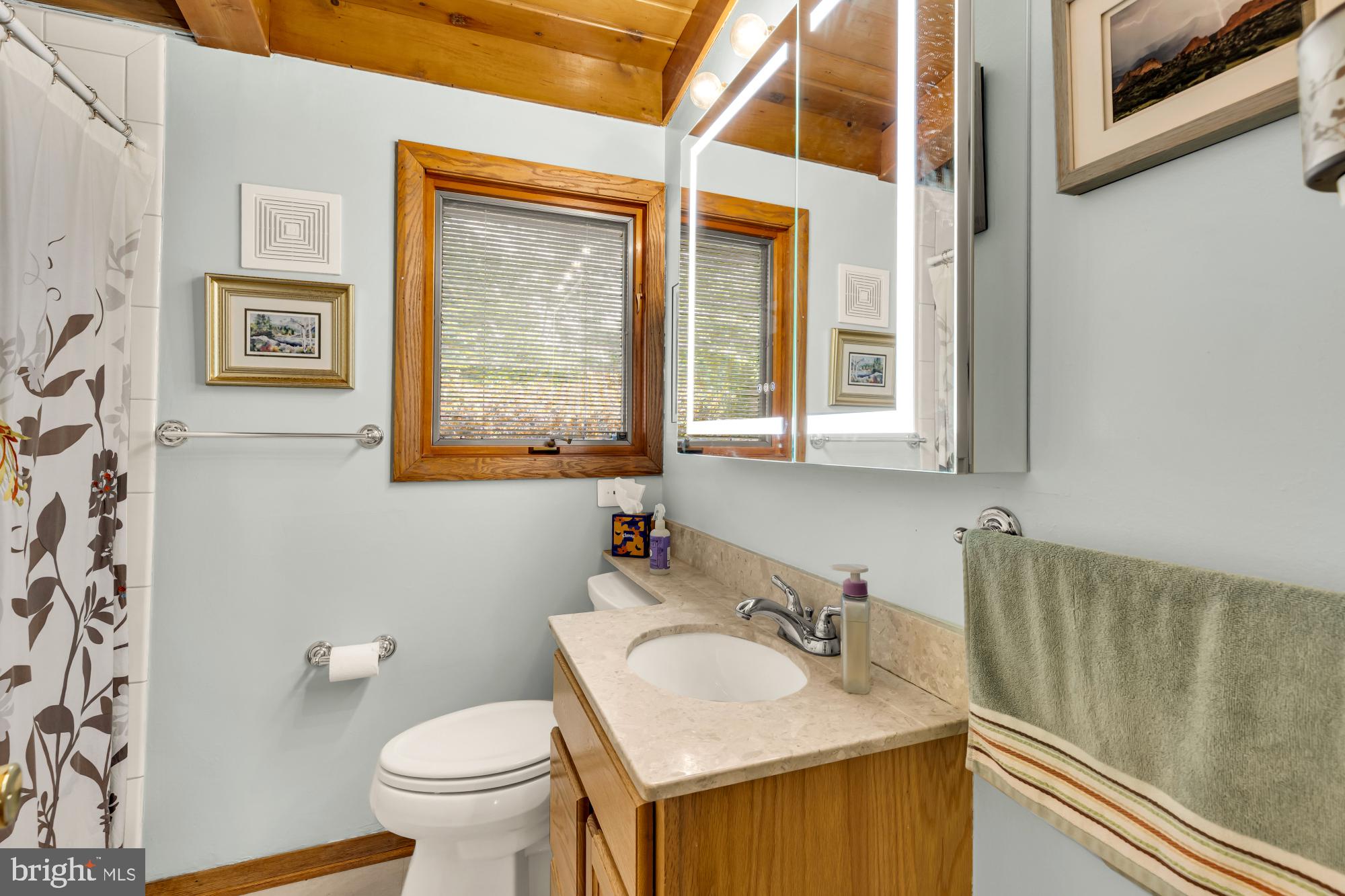3018 Pine Spring Road Falls Church, VA 22042 - Photo 31 of 52 a bathroom with a sink toilet and a mirror