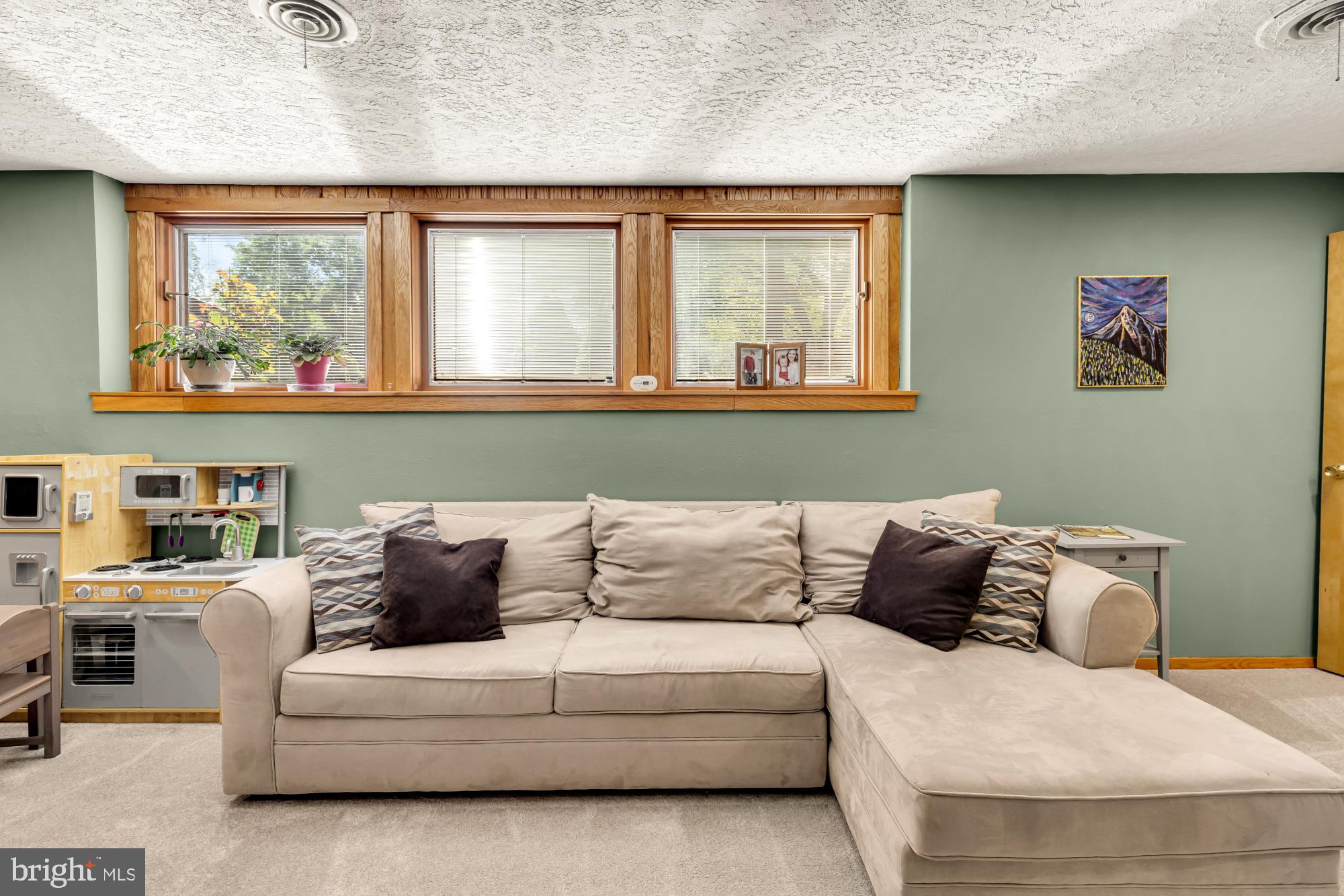 3018 Pine Spring Road Falls Church, VA 22042 - Photo 33 of 52 a living room with furniture and a window