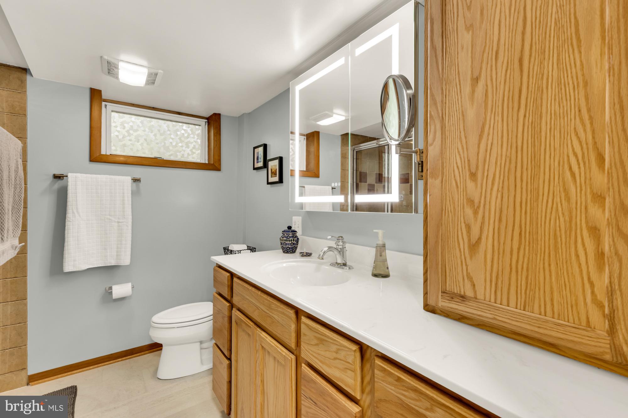 3018 Pine Spring Road Falls Church, VA 22042 - Photo 35 of 52 a bathroom with a sink a toilet and mirror