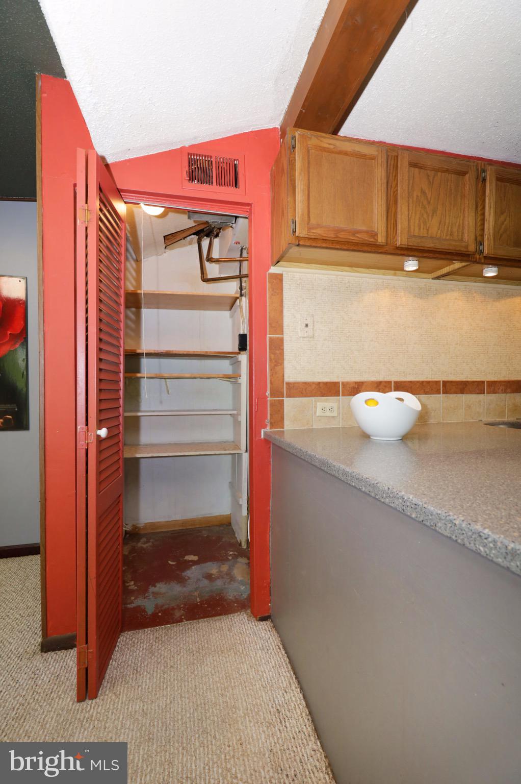 7817 Fort Hunt Road Alexandria, VA 22308 - Photo 16 of 51 Deep Walk-in Pantry