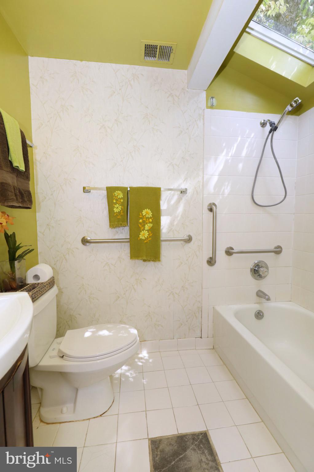 7817 Fort Hunt Road Alexandria, VA 22308 - Photo 22 of 51 Primary Bathroom with Skylight