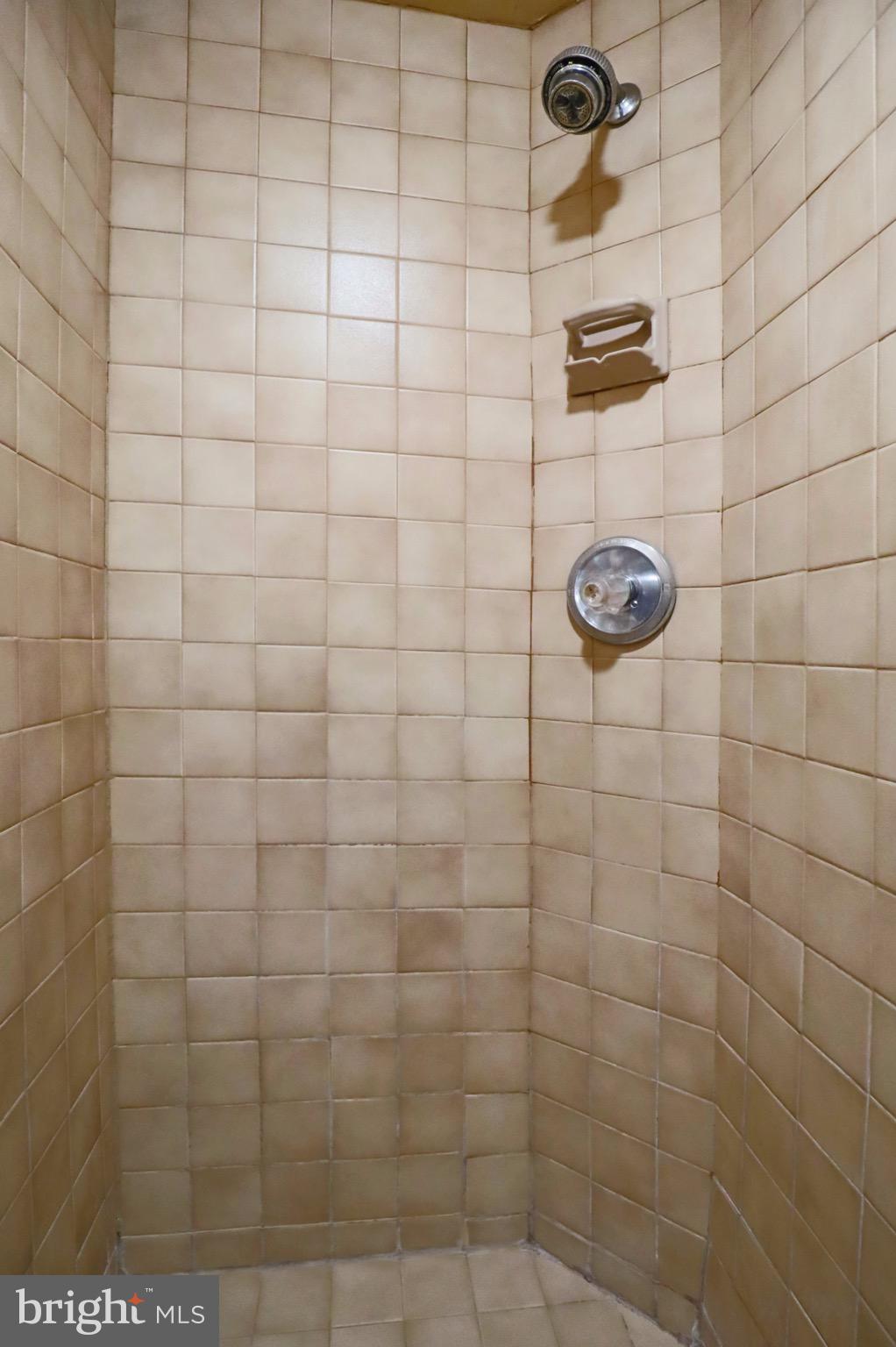 7817 Fort Hunt Road Alexandria, VA 22308 - Photo 31 of 51 Walk-in Shower