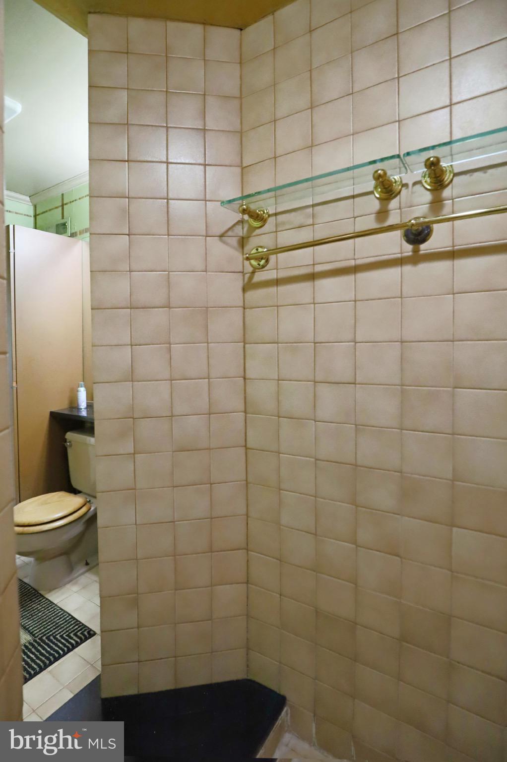 7817 Fort Hunt Road Alexandria, VA 22308 - Photo 32 of 51 Walk-in Shower