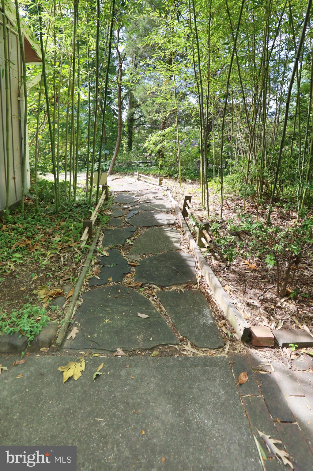 7817 Fort Hunt Road Alexandria, VA 22308 - Photo 43 of 51 Slate Walkway leading to Front Entrance