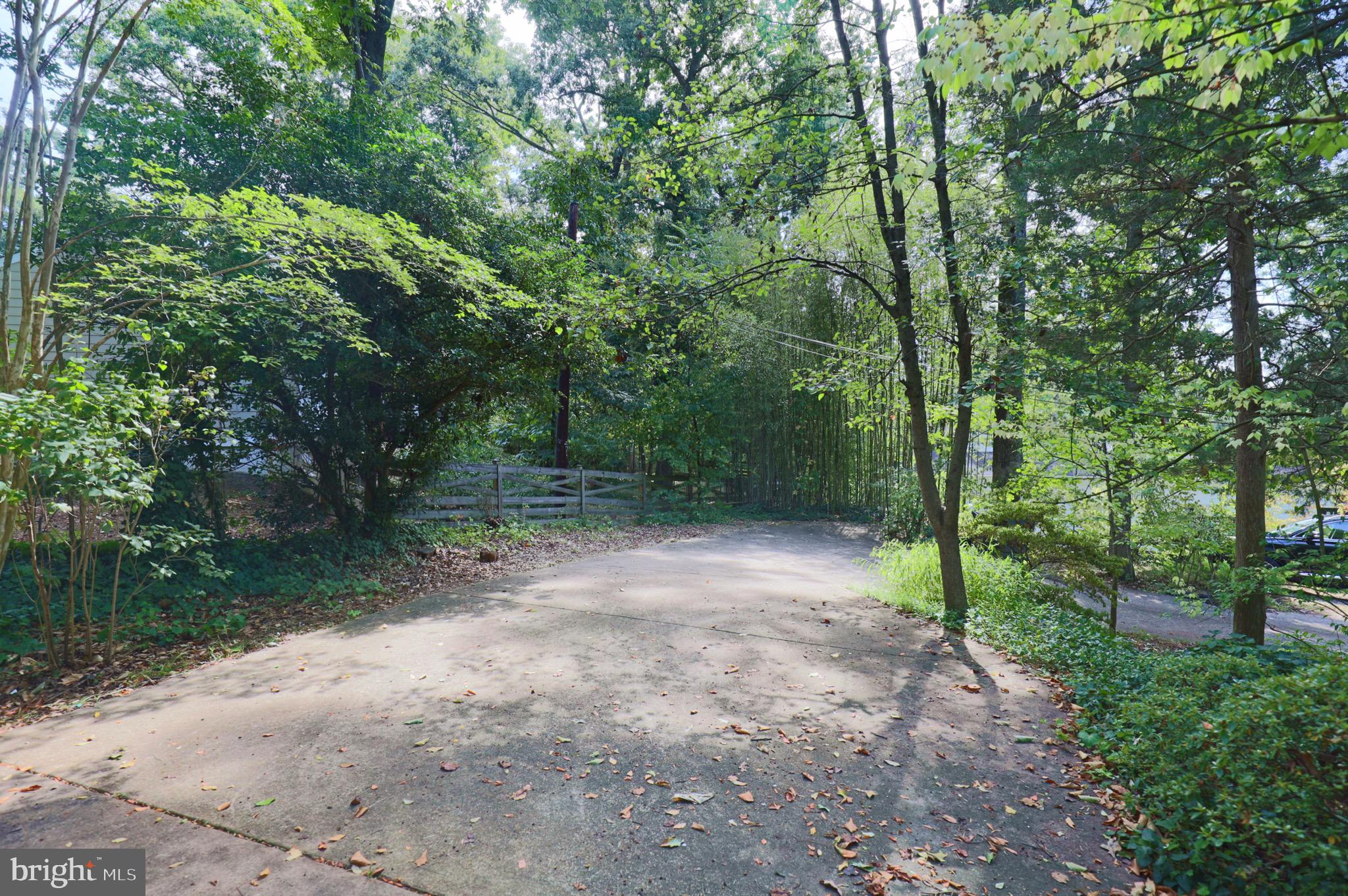 7817 Fort Hunt Road Alexandria, VA 22308 - Photo 47 of 51 Driveway looking towards Street
