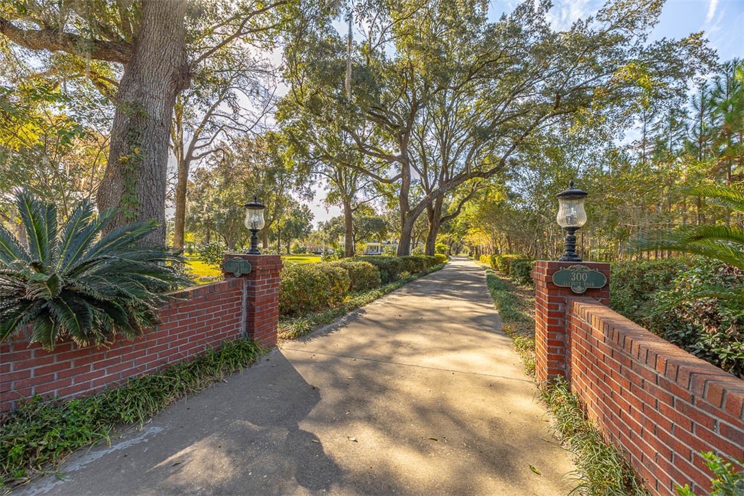 300 Elliott Road Waynesville, GA 31566 - Photo 5 of 89