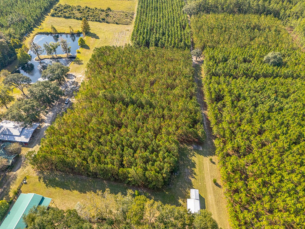 300 Elliott Road Waynesville, GA 31566 - Photo 79 of 89