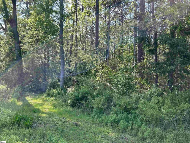 $15,000 | 0 Woodland Drive, Clinton, SC 29325