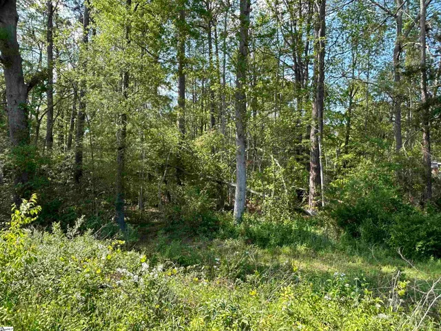 $15,000 | 0 Woodland Drive, Clinton, SC 29325