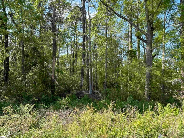 $15,000 | 0 Woodland Drive, Clinton, SC 29325