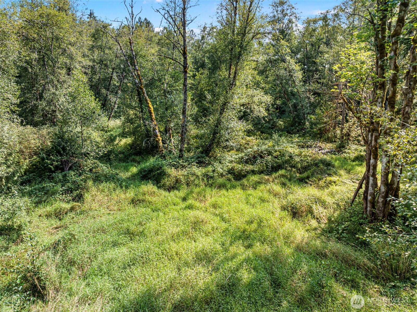 10191 West Belfair Valley Road Bremerton, WA 98312 - Photo 31 of 34