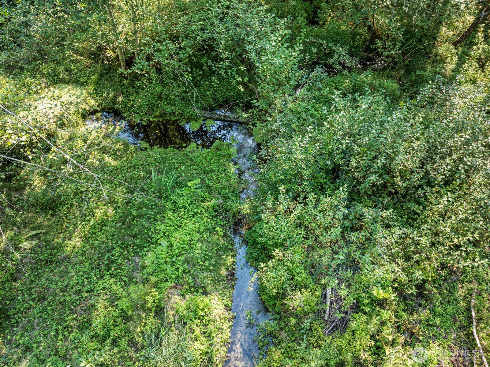 10191 West Belfair Valley Road Bremerton, WA 98312 - Photo 32 of 34