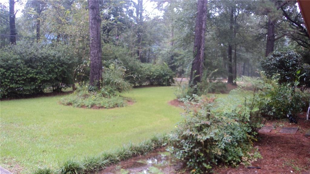 11482 Lee Settlement Road Folsom, LA 70437 - Photo 15 of 17 Gallery Image 15