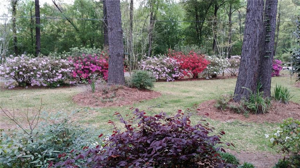 11482 Lee Settlement Road Folsom, LA 70437 - Photo 16 of 17 Gallery Image 16