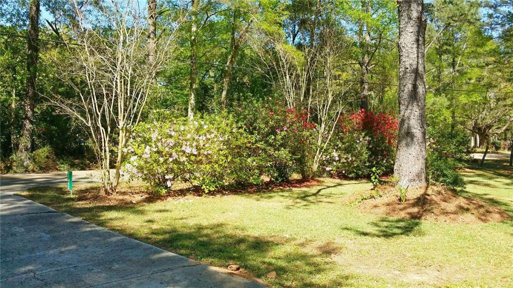 11482 Lee Settlement Road Folsom, LA 70437 - Photo 17 of 17 Gallery Image 17
