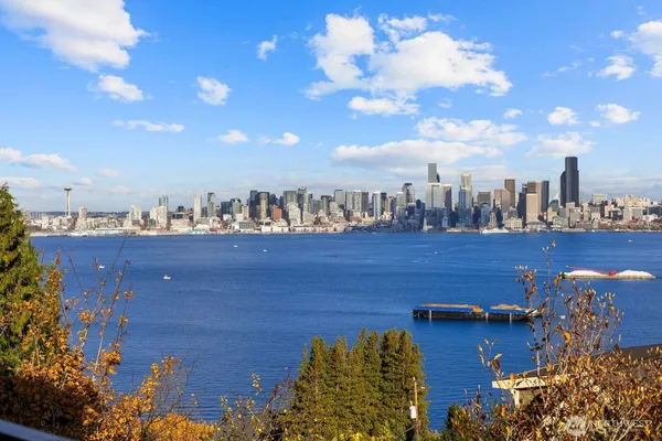 a view of a lake with a city