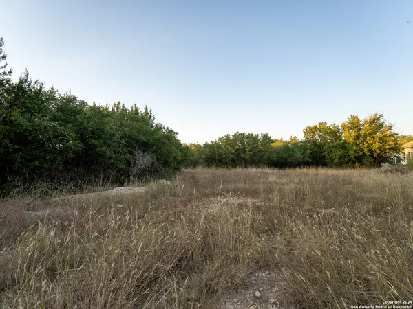 $53,000 | 113 North John Bird, Blanco, TX 78606