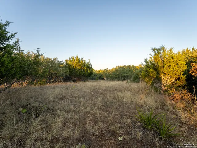 $53,000 | 113 North John Bird, Blanco, TX 78606