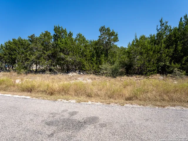 $53,000 | 113 North John Bird, Blanco, TX 78606