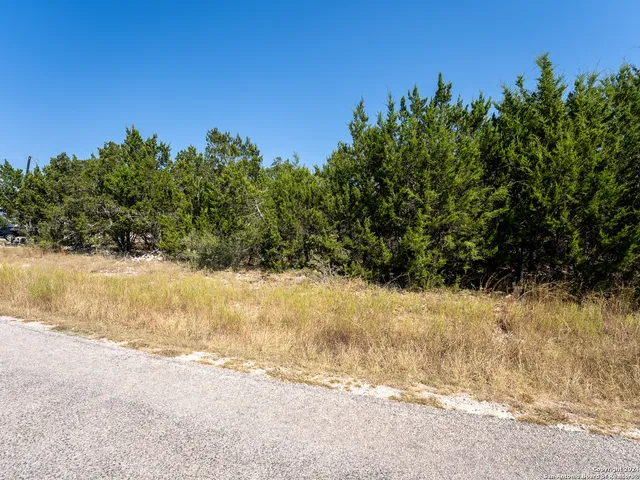 $53,000 | 113 North John Bird, Blanco, TX 78606