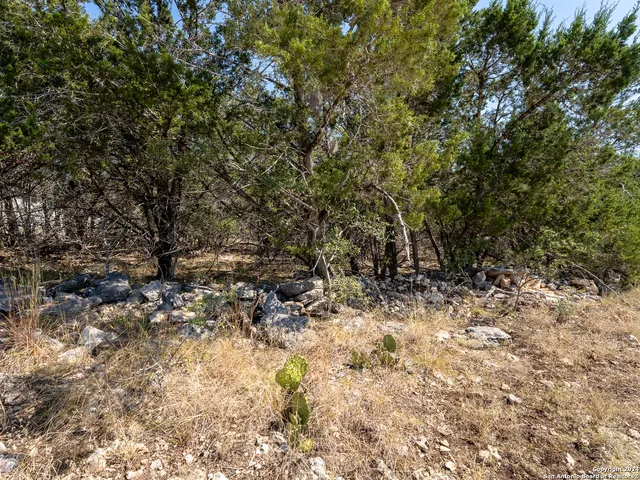 $53,000 | 113 North John Bird, Blanco, TX 78606