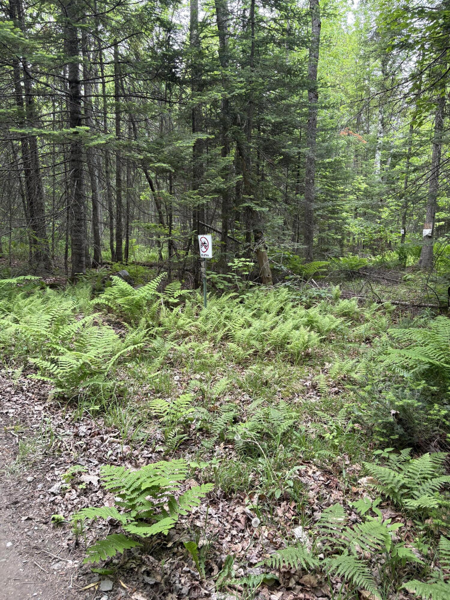22 Back Parkman Road Abbot, ME 04406 - Photo 37 of 38