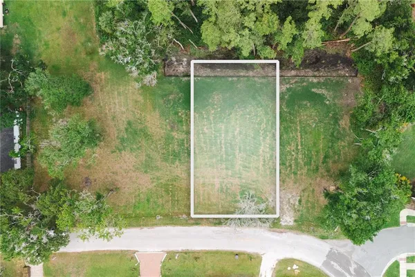 a view of backyard with tub and trees in the background