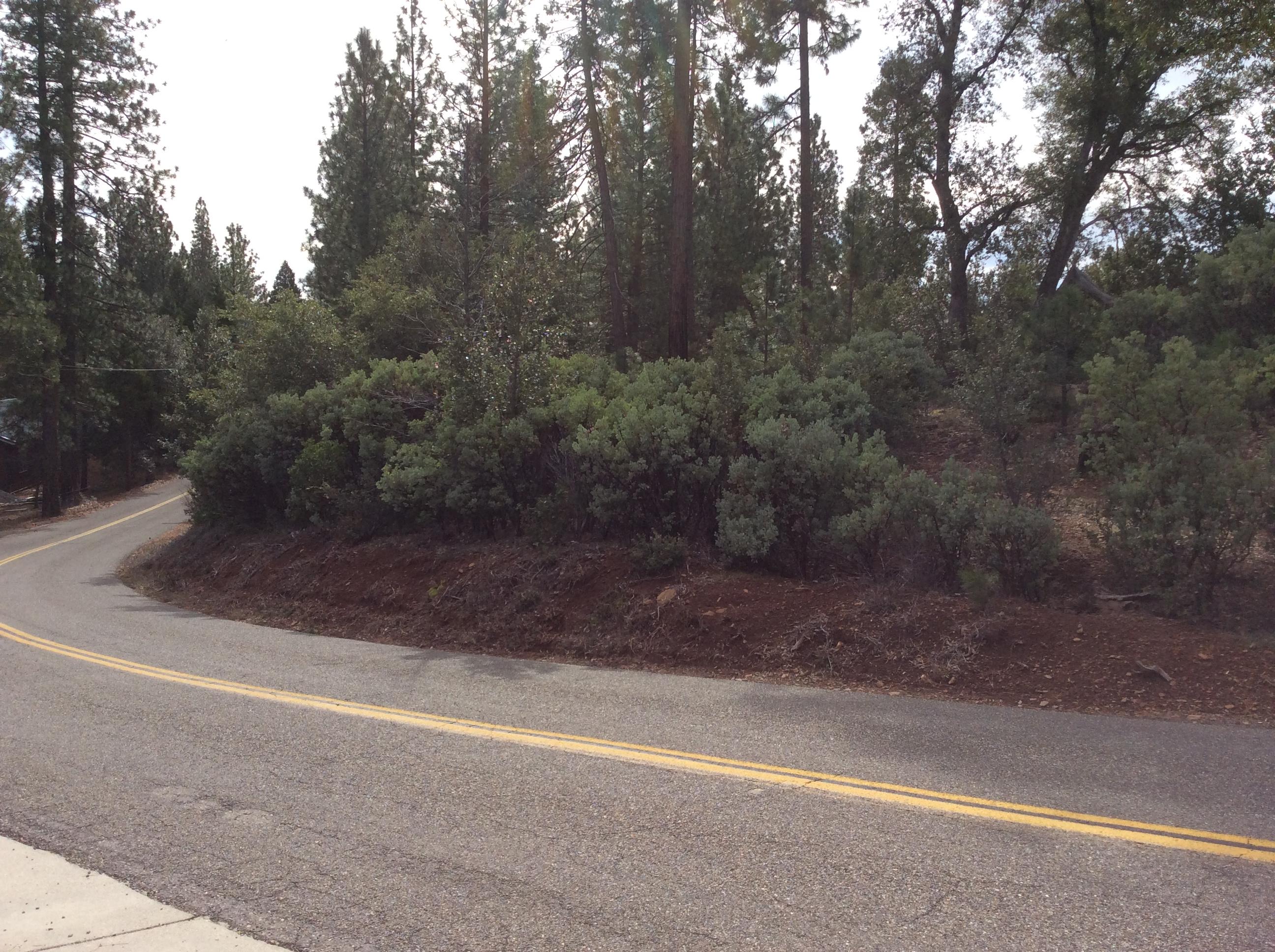 6.46-acres Fern Road Whitmore, CA 96096 - Photo 11 of 11 a view of a yard
