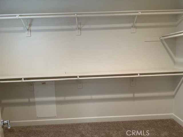 650 Winter Pine Street Beaumont, CA 92223 - Photo 15 of 32 a close view of closet